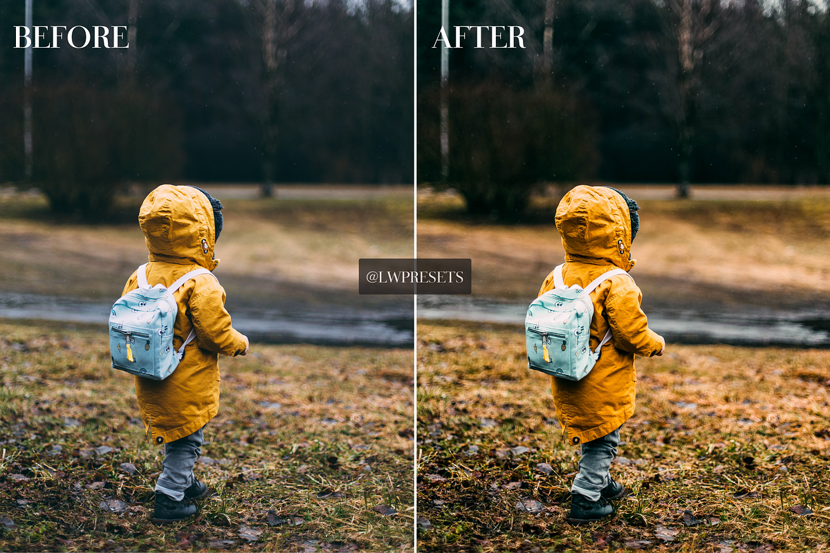 10 Dark Moody  Lightroom Presets, a Brush Add-On by LWPRESETS (Photo 3 of 7)