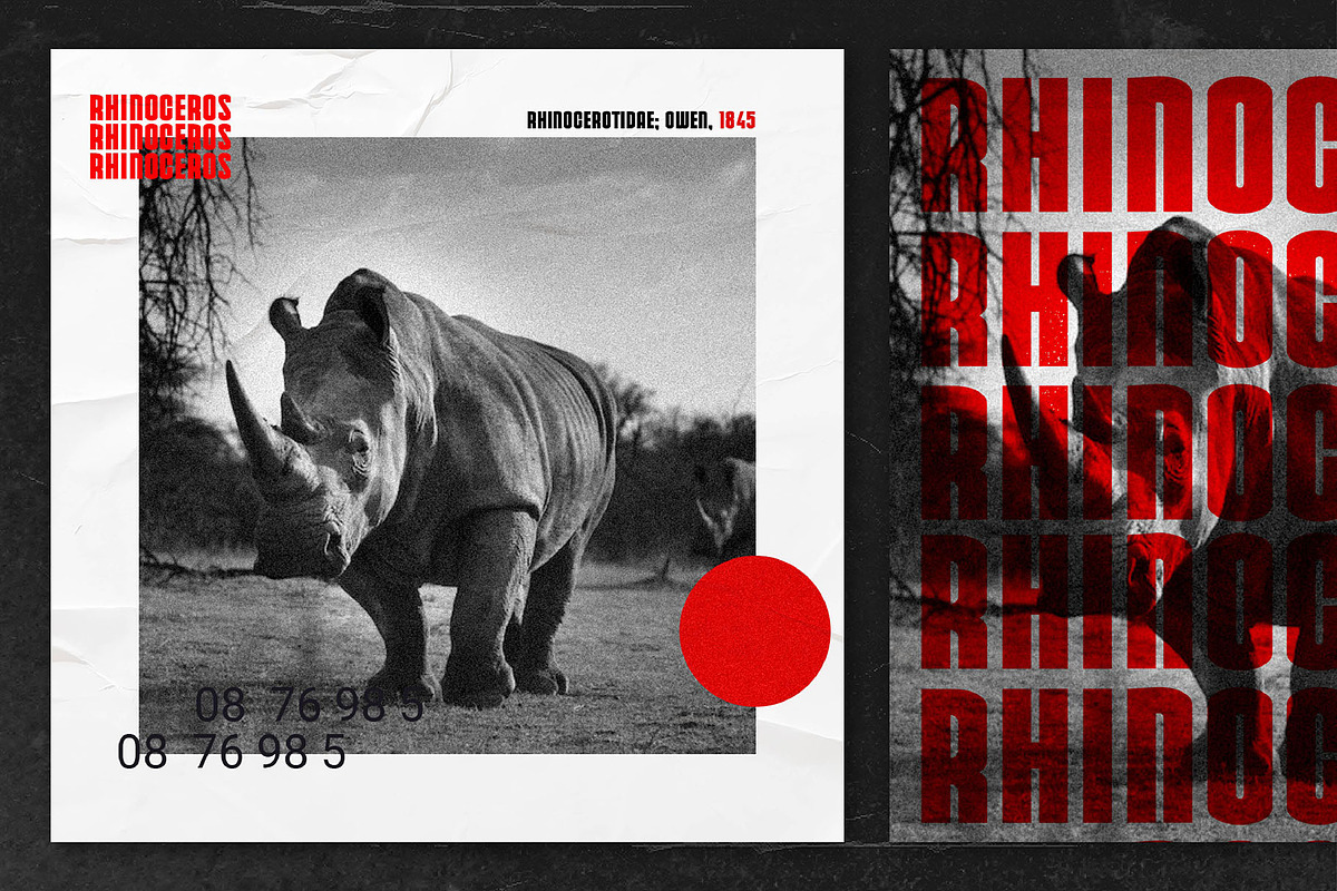 Black Modern Sans Serif Font, a Sans Serif Font by Perfectype (Photo 8 of 10)