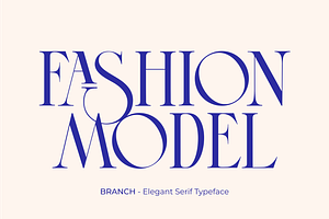 BRANCH - Elegant Serif Typeface