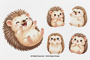 15 Bundle Watercolor Hedgehog Animal, an Animal Illustration by Morspective (Thumbnail 6 of 8)