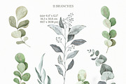 Watercolor eucalyptus clipart, an Illustration by OrangePeafowlArt (Thumbnail 5 of 10)