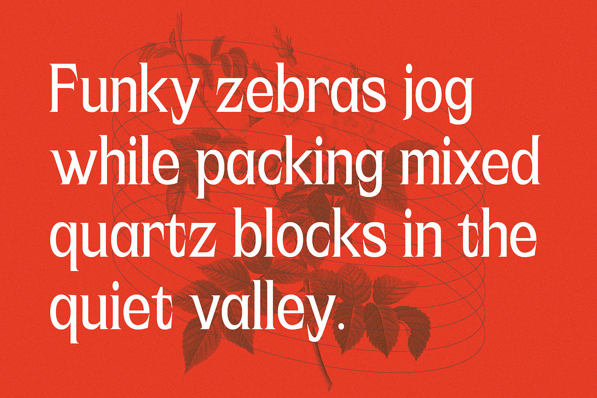 Astheric – Modern Ligature Serif, a Serif Font by Variatype (Photo 2 of 10)