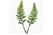 Hemlock Seed Pod, a Decorative Illustration by Bloom Craft Creations (Thumbnail 2 of 13)