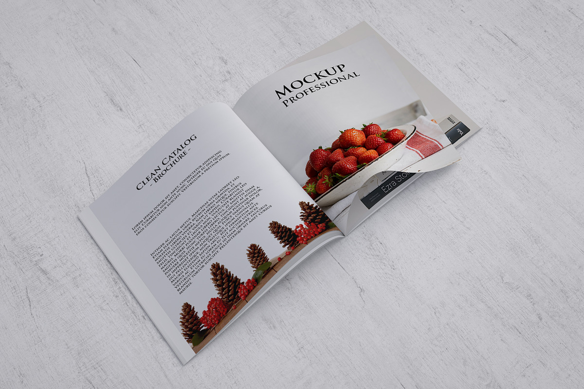 Square Catalog/Brochure Mock-Up, a Print Template by StyleMockups (Photo 5 of 7)