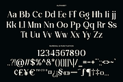 Luxury Ligature Serif Font - Faresty, a Serif Font by Font Liner (Thumbnail 9 of 9)