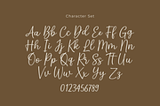Blighty - a Handwritten Font, a Script Font by Ali Hamidi (Thumbnail 8 of 9)