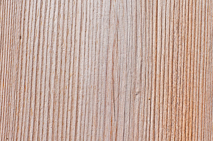 Dry Wooden Planks preview 6