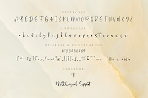 Emerthon - Modern Handwritten Font