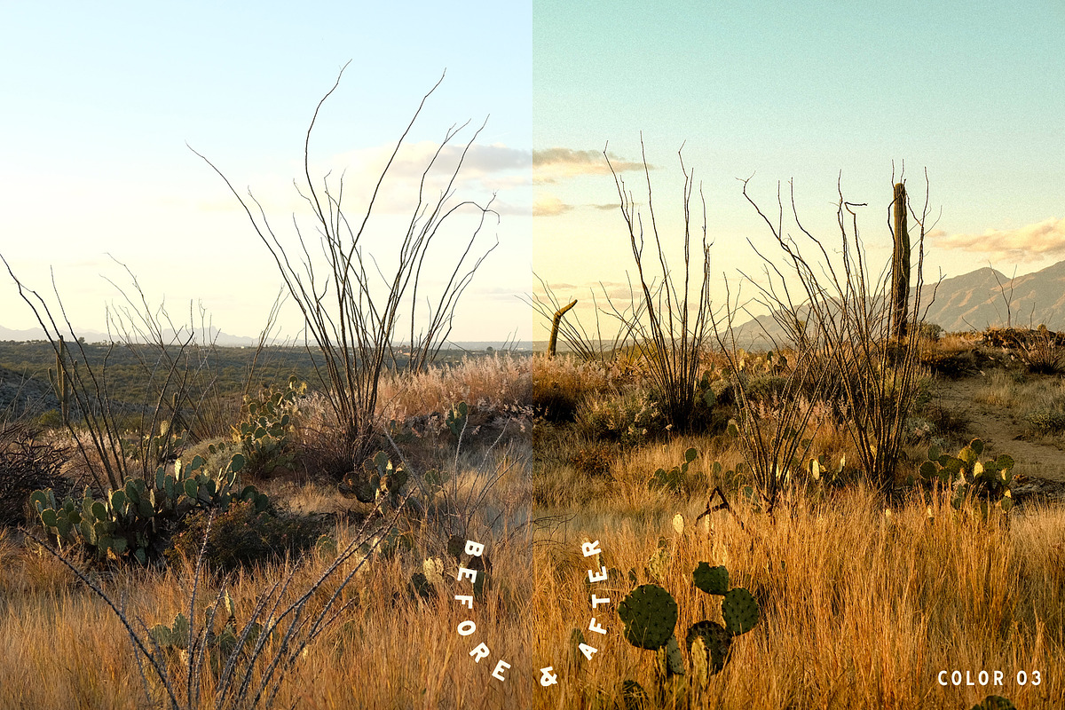 Mesquite Lightroom Presets, a Brushes & More by Cactus Country (Photo 5 of 11)