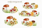 Forest watercolor designer toolkit, an Animal Illustration by Elegantia (Thumbnail 19 of 28)