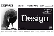 CORVUS Serif font, a Serif Font by Artistic & Unique (Thumbnail 13 of 15)