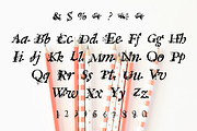SPANISH MOSS Hand Crafted Font, a Script Font by Rhonna Designs (Thumbnail 3 of 3)