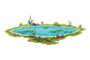 Picturesque natural pond. Concept of, an Animal Illustration by the8monkey