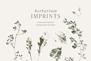 Botanical Imprints: Floral & Paper, an Object Graphic by Yuliya Derbisheva (Thumbnail 4 of 10)