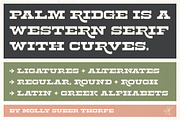 Palm Ridge Midcentury Southwest Font, a Serif Font by Molly Suber Thorpe (Thumbnail 2 of 15)