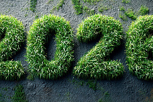 Lush grass covered 2026 numbers growing from dark textured stone, a Background Photo by José Manuel Gelpi