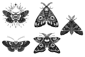 Procreate Moth Brush Stamps