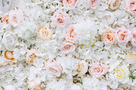 Flowers wall background white roses stock photo containing abstract and art