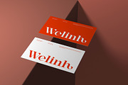 Bedisa || Modern Classy Serif Font, a Serif Font by Ermedia Studio (Thumbnail 3 of 10)