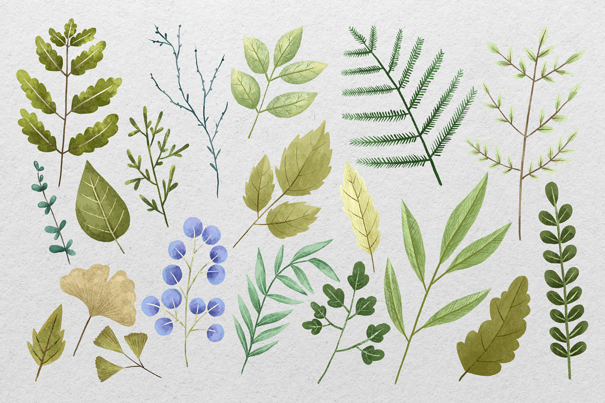 Hand-Painted Herbs & Spices: Botanic, a Decorative Illustration by the_myro (Photo 4 of 5)