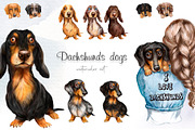 Dachshund dog watercolor clipart., an Illustration by SavinV (Thumbnail 1 of 7)