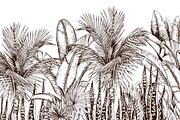 Tropical black& white plants, a Decorative Illustration by Jeanna Draw (Thumbnail 1 of 17)