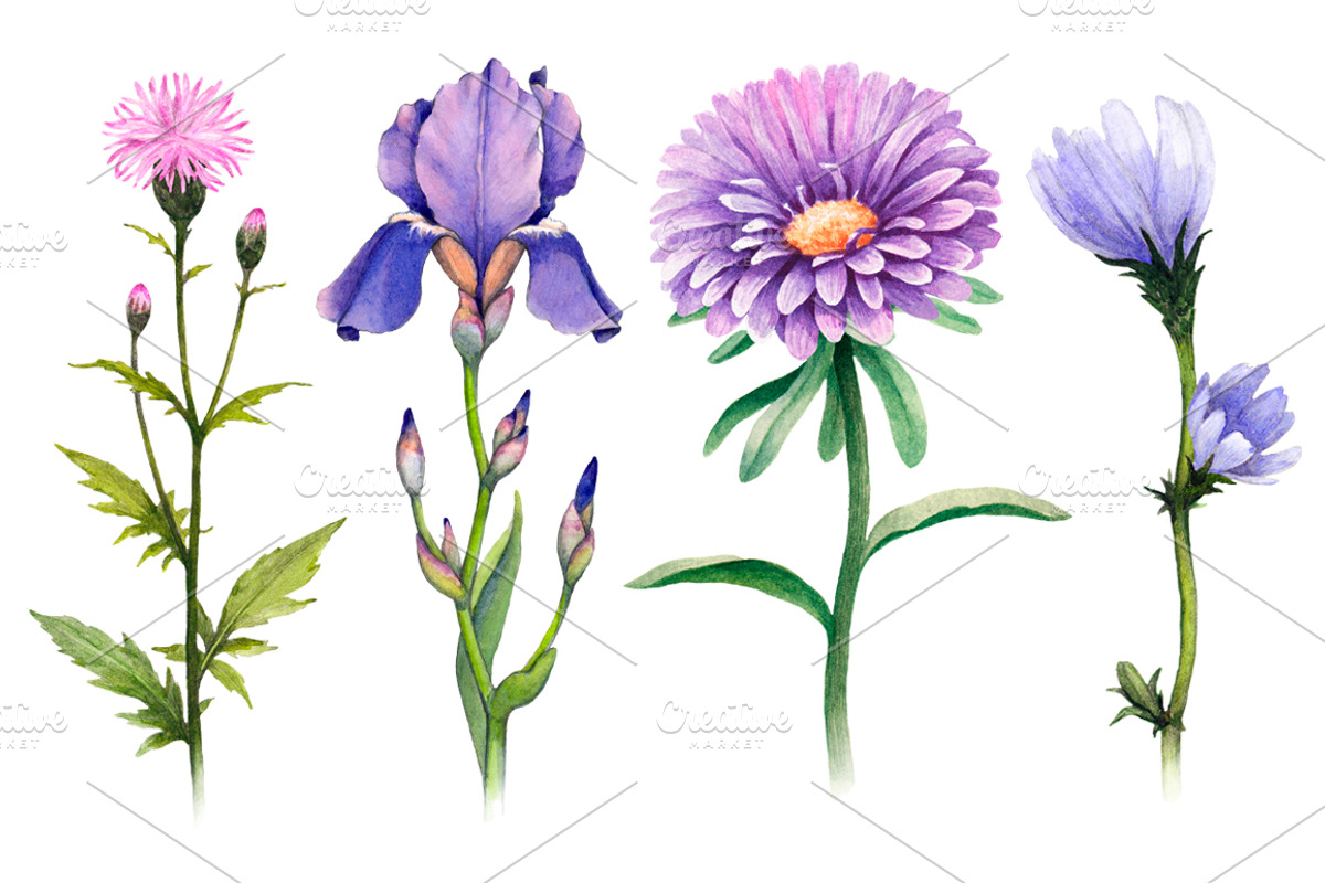 Blue and purple summer nature, a Texture Illustration by Sundra (Photo 3 of 9)