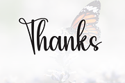 Butterfly | Script Font, a Handwritten Font by Scratchones (Thumbnail 8 of 8)