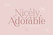 Redrains - Modern Serif Family, a Serif Font by Sarid Ezra (Thumbnail 1 of 9)