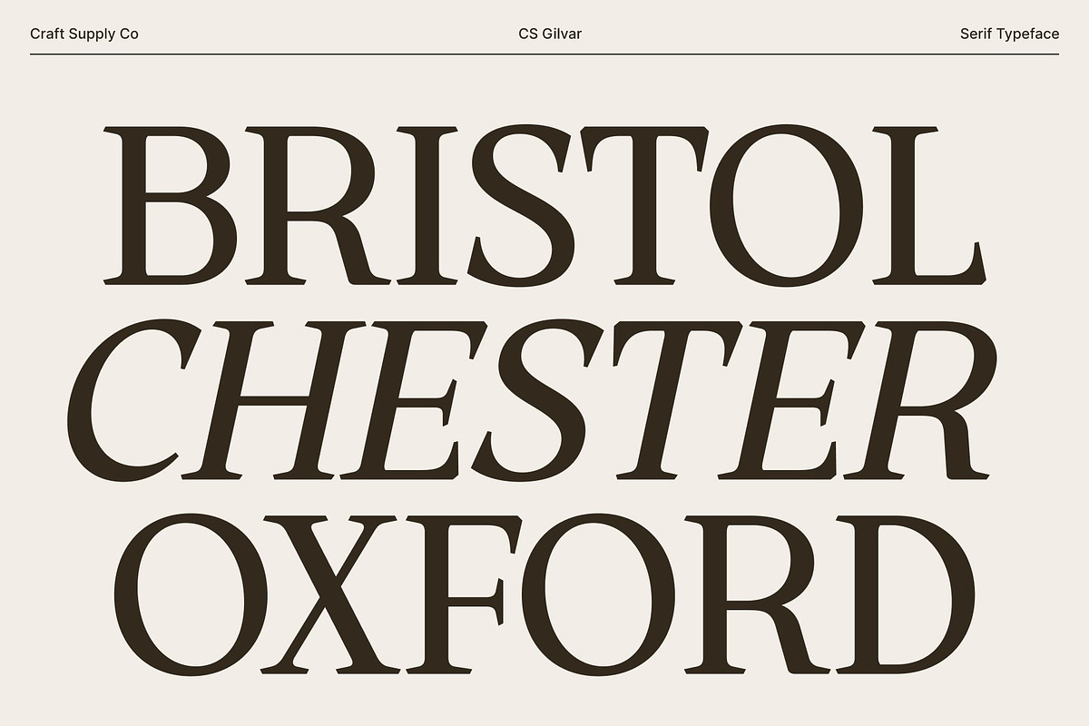 CS Gilvar – Classic Serif Font, a Serif Font by Craft Supply Co. (Photo 7 of 8)