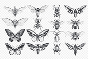 Vintage Insects Vector Set, an Animal Illustration by Vecster (Thumbnail 2 of 4)
