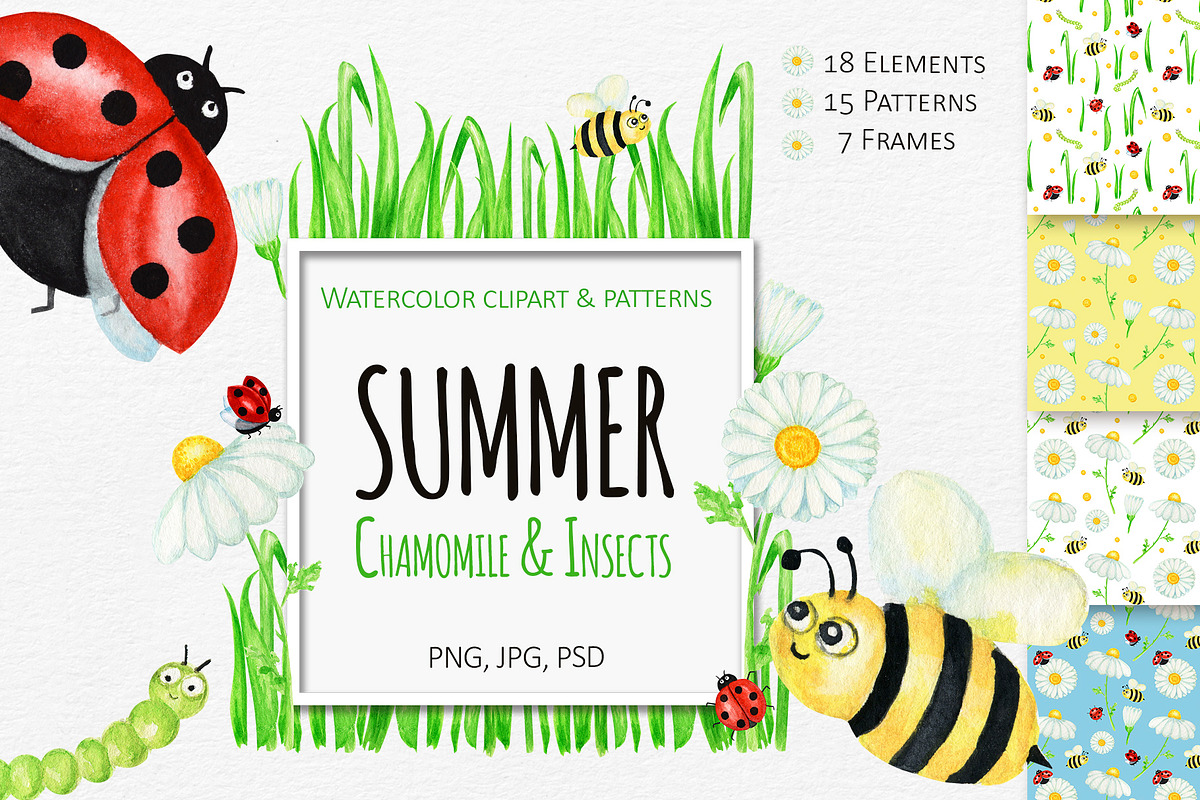 Summer Ladybug & Chamomile clipart, an Object Graphic by svetlanaARTdreams (Photo 1 of 8)