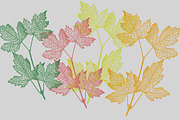 88 Skeleton Leaves PNG, an Object Graphic by Alexandra Fulger (Thumbnail 5 of 6)