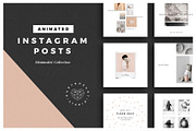 BUNDLE Animated Instagram Posts, a Social Media Template by Ruby&Heart Studio (Thumbnail 5 of 18)
