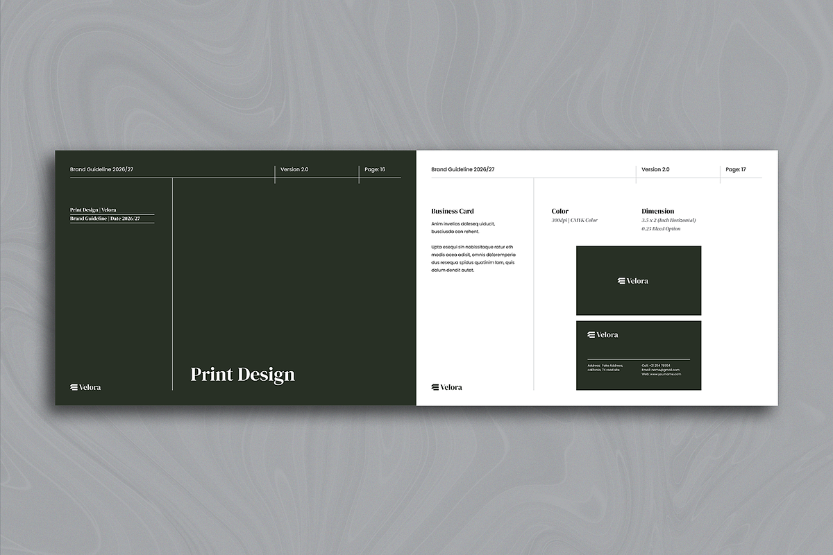 Velora · Brand Guidelines, a Brochure Template by ArtisticLand (Photo 8 of 14)