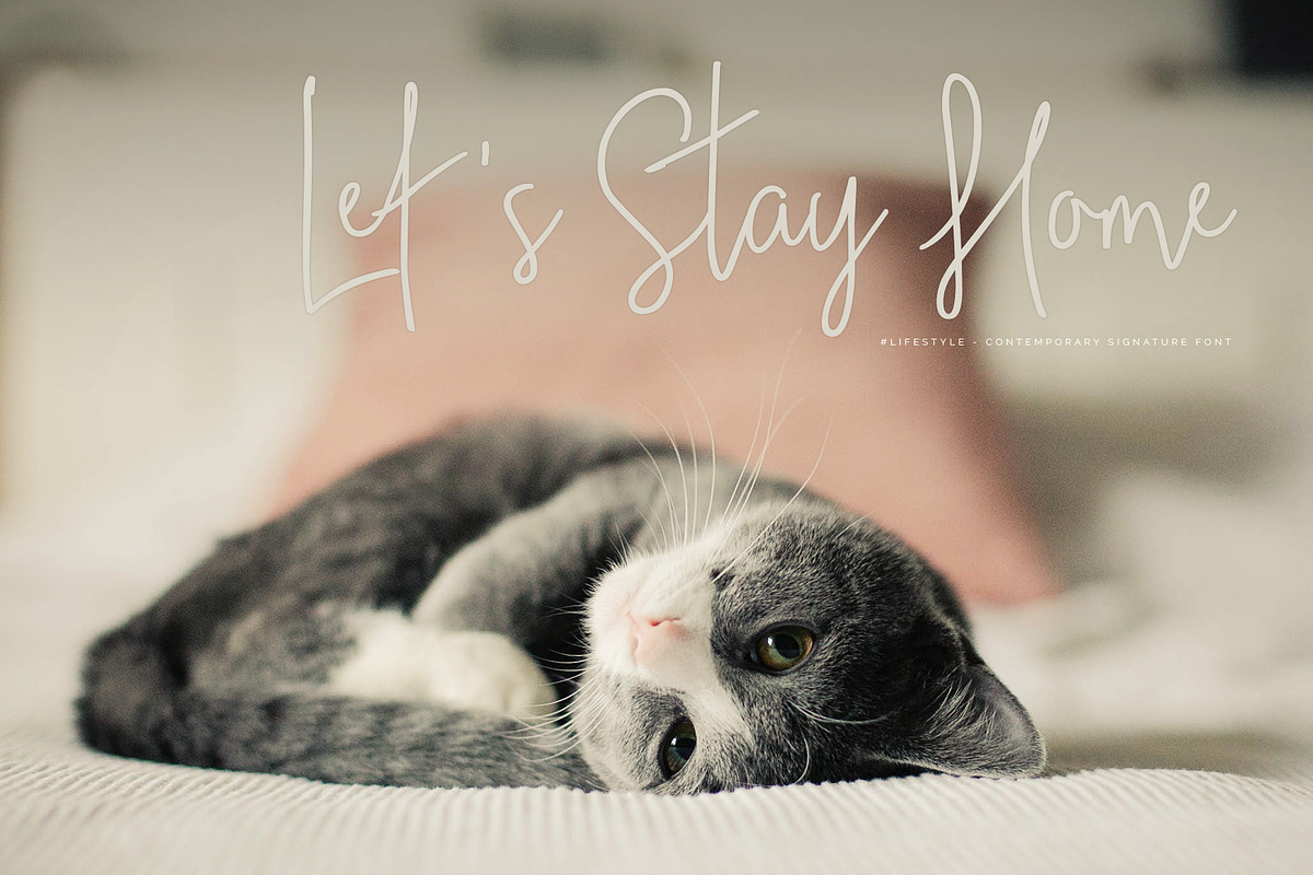 #lifestyle | SIGNATURE SCRIPT FONT, a Script Font by Sophia J Caldwell (Photo 10 of 17)