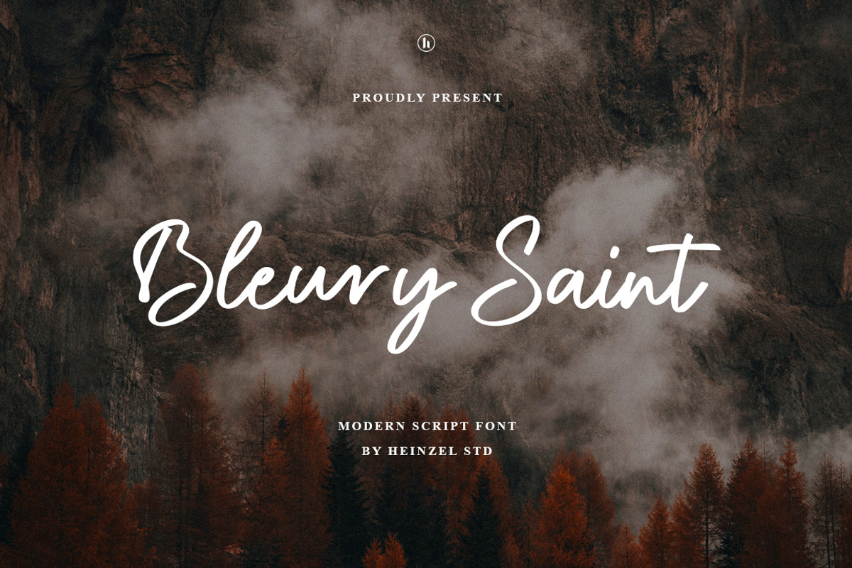 Bleury Saint Modern Script Font, a Script Font by Heinzel Std (Photo 1 of 14)