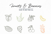 BOTANY BUNDLE - 6in1, a Food Illustration by amber&ink (Thumbnail 12 of 19)