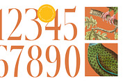 Mecoka Groove Elegant Serif Font, a Serif Font by timelesstype.co (Thumbnail 9 of 20)