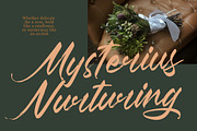 Pluretta Vintage Modern Brush Font, a Serif Font by Letterena Studios Script (Thumbnail 10 of 20)