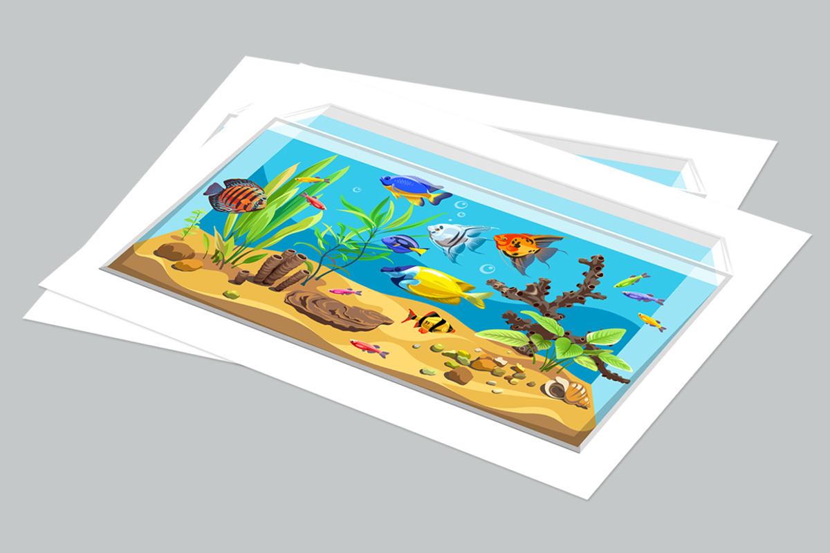 Aquarium, an Animal Illustration by Yulia Ogneva (Photo 4 of 4)