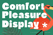 Comfort Pleasure Display Font, a Serif Font by timelesstype.co (Thumbnail 1 of 20)