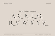 Zeantry a Modern & Elegant Serif, a Serif Font by Lettertype Studio (Thumbnail 8 of 12)