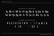 Vulcant Condensed Serif Font, a Serif Font by Idea Studio (Thumbnail 9 of 10)