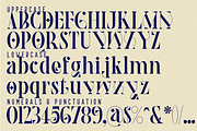 Theatrical Elegant - Ligatures Font, a Serif Font by 177Studio (Thumbnail 7 of 8)