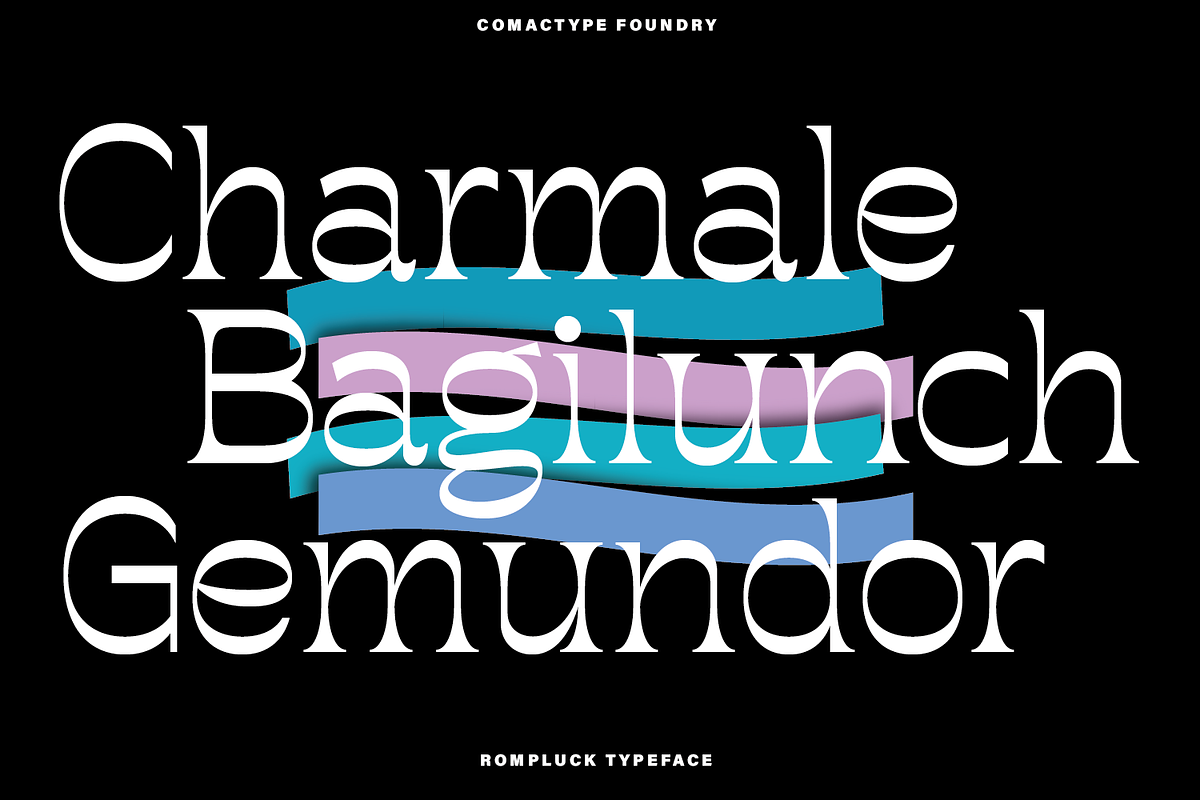 Rompluck - A Display Typeface, a Serif Font by Comactype Foundry (Photo 11 of 20)