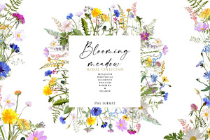 Blooming Meadow