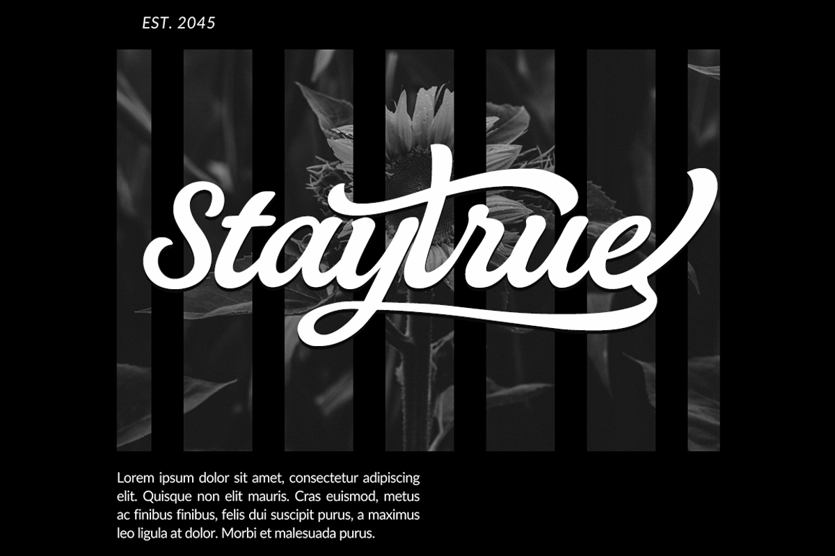Bagtrue, a Script Font by cocodesign (Photo 2 of 6)