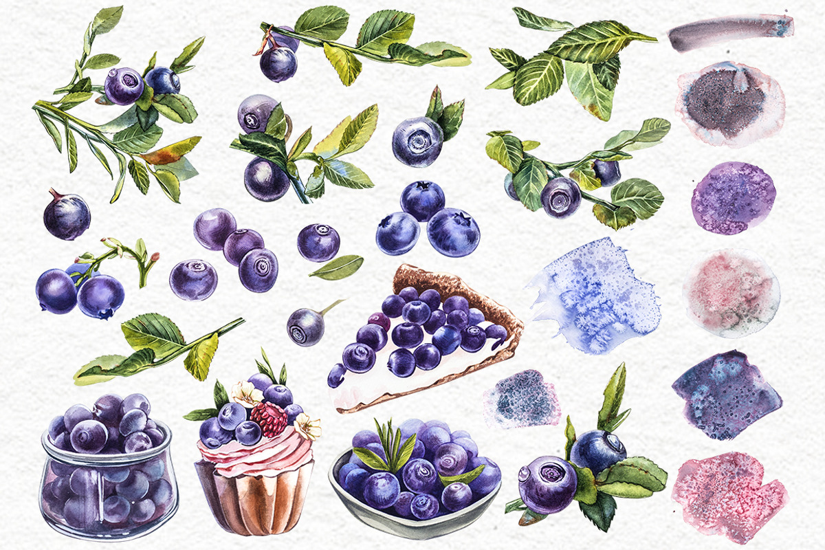 Blueberries watercolor clip art, a Food Illustration by Ann Astro (Photo 2 of 13)