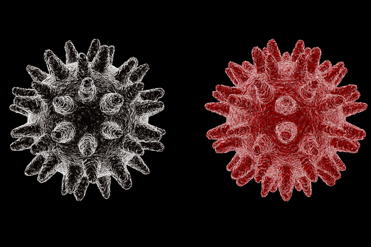 Flu virus preview 3